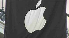 Apple refuses to unblock iPhone used by San Bernardino shooter