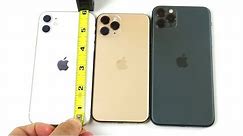 Which Size iPhone 11 Should You Buy?