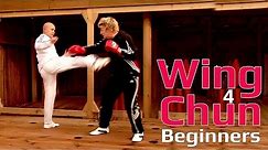 Wing Chun for beginners lesson 18: basic blocking combo drill/ blocking punch, hook & uppercut