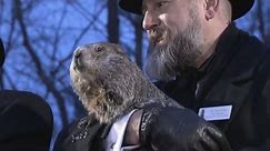 Groundhog Day 2024 Prediction: Punxsutawney Phil does NOT see his shadow