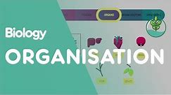 Levels of organisation an organism | Cells | Biology | FuseSchool