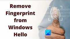 How to remove Fingerprint from Windows Hello in Windows 11/10