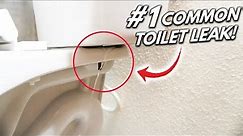 How To Fix The #1 Hidden Toilet LEAK! DIY