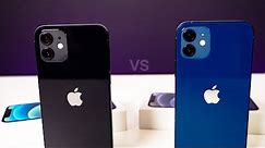 Blue & BLACK iPhone 12 Unboxing & Comparison!