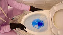 The Essential Guide to Cleaning a Toilet | Step-by-Step Tutorial 🚽 ✨