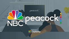 NBC Universal Peacock TV - Create an Account | 2D Animated Explainly Video