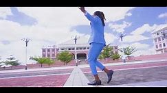 Dan Lu Feat APM - Lozani Zanu(Official Music Video)