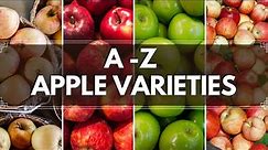 A TO Z Apple varieties | Different types of apple variety