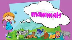 mammals | learn the characteristics of mammals for kids