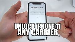 How To Unlock iPhone 11 To Use With Any Carrier In 2020