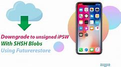 How To Downgrade iOS 14.8 With SHSH2 Blobs Using Futurerestore (2024)