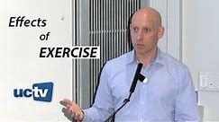 Inside the Effects of Exercise: From Cellular to Psychological Benefits