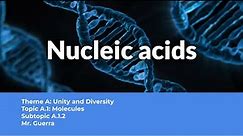 A.1.2 Nucleic Acids - IB Biology SL NEW SYLLABUS First assessment 2025