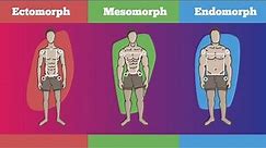 What’s your body type? : A Guide to Understanding Your Unique Physique