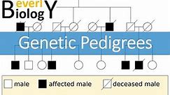 Genetic Pedigrees (updated)