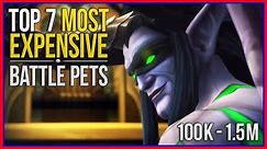Top 7 Most Expensive Pets in WoW - And How to Farm Them!