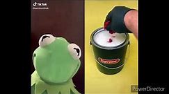 Kermit of TikTok Clean Compilation