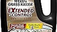 Spectracide Weed and Grass Killer With Extended Control Concentrate 32 fl Oz