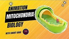 Mitochondria (Cell Biology) - Animation | Structure and Function | Animated 3D Model