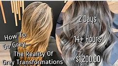 Going Grey | The REALITY Of GREY Transformations | Full Application & Formulations