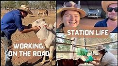 What it's like working on a Cattle Station in Outback Australia | NT EP 7 - VANLIFE