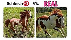 Schleich Horses vs. REAL LIFE!
