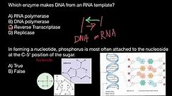 RNA, DNA polymerase, reverse transcriptase and replicase explained