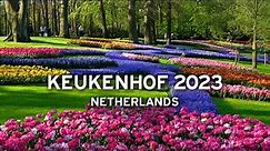 🇳🇱 Keukenhof, April 30, 2023 - Netherlands [4K]
