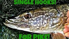 Pike on Dead Baits With Single Hooks!