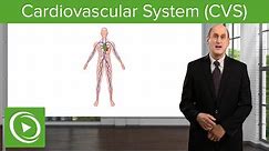 Cardiovascular System: Definition & Function – Vascular Medicine | Lecturio