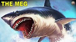 The Megalodon, A Prehistoric Giant Shark That Ruled the Seven Seas