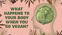 What Happens To Your Body When You Go Vegan?