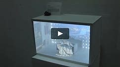 Projection Mapping Diorama