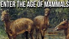 Dawn of the Age of Mammals