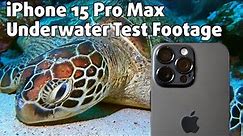 How good is the iPhone 15 Pro Max as an underwater camera?! 🤷🏻‍♂️🌊🎥🐙