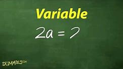 Understanding the Vocabulary of Algebra For Dummies
