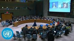 Humanitarian Solutions in the Gaza-Israel Crisis: UN Security Council Briefing | United Nations
