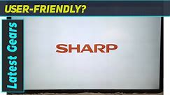 Sharp Aquos Board PN-L803C 80-Inch Touchscreen Monitor Review