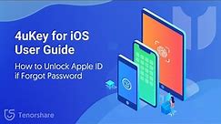 4uKey User Guide: How to Unlock Apple ID if Forgot Password - 2023