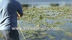 POND WEED CUTTER for removing MILFOIL HYDRILLA CATTAIL LILY PADS