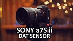 Sony a7S II Camera Review - Dat low light performance...