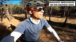 The Arizona Trail is STUNNING! Bikepacking Arizona-Episode 7
