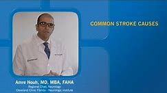 Common Stroke Causes