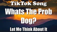 Whats The Prob Dog? (Let me Think About It) (Lyrics) - TikTok Song