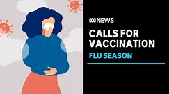 Australians encouraged to get flu vaccine as cases rise | ABC News