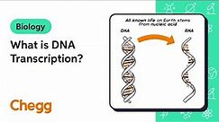What is DNA Transcription? | Introduction to Biology