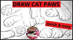 How to Draw Cat Paws Easy - quick pose gesture sketch for beginner kitty artist, simple practice art