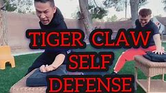 Tiger Kung fu for Beginners | Self Defense