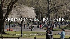 Spring in Central Park NYC // Filmed with iPhone 15 Pro Max + Zhiyun Smooth 5S First Impressions