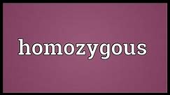 Homozygous Meaning